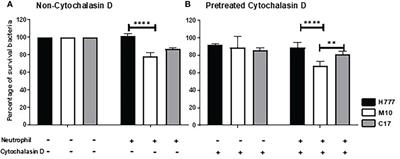 Burkholderia pseudomallei biofilm phenotypes confined but surviving in neutrophil extracellular traps of varying appearance